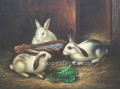 am025D Tier Kaninchen